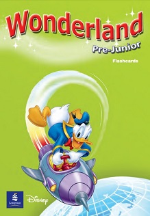 Wonderland Pre-Junior Flashcards