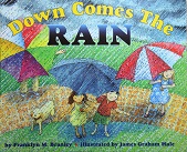 Lets Read and Find Out Science Stage 2 - Down Come the Rain