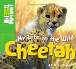 My Life in the Wild Cheetah - Animal Planet