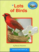 Vocabulary Readers Kindergarten - Lots of Birds